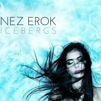 Zen Life Counselling Nez Erok 22